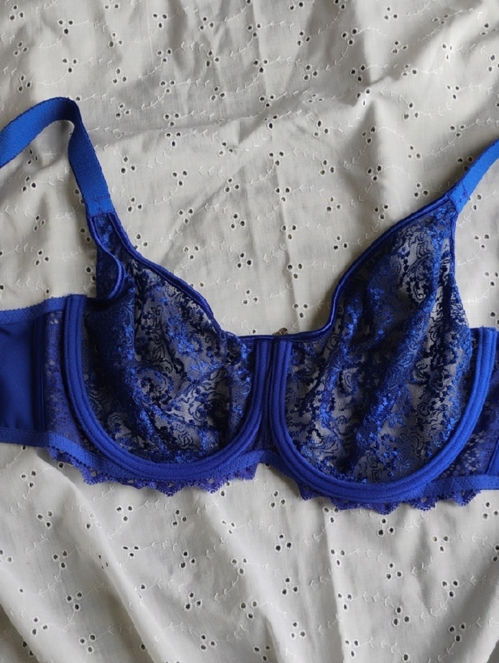 EMPREINTE Blue Lace Underwire Bra with Feminine Floral Lace - Picture 11 of 11